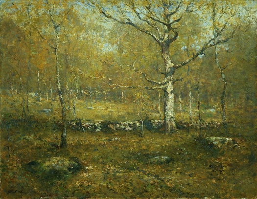 Ranger Spring Woods.jpg